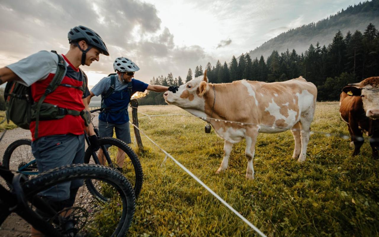 Ribno Luxury Glamping Hotel Bled Eksteriør billede